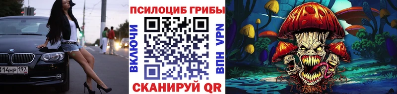 Купить где Торжок Галлюциногенные грибы мицелий